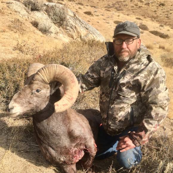 Meet your Posher, Steve - Picture 1 of 1